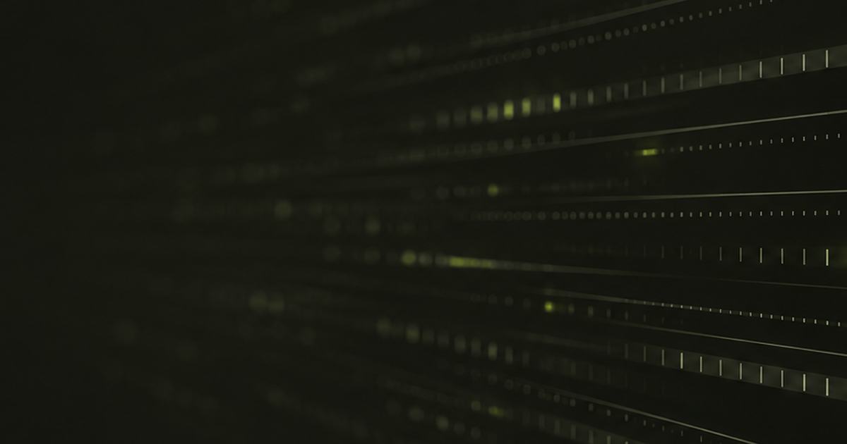 Qubic halts chain after 1,404 wallets lose $1.4 million